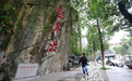 【“长征路上奔小康” 重庆全媒体“走转改”】昔日旧渡口 今朝CBD 重庆彭水打造红色文化特色旅游带
