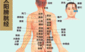 【十四经脉之11】子午流注之申时经络：足太阳膀胱经当令