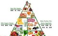 膳食营养指导与疾病预防的联系