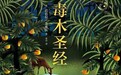 我们都是这儿的共谋者