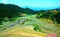 福建长汀举办首届马罗梯田农耕文化旅游节
