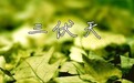 三伏天，学习养生知识