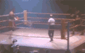 爆笑GIF，拳击场八大囧~！
