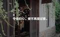花光所有积蓄，30岁的她带着儿子住进一栋租期只有15年的老宅