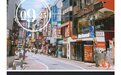 一期一会，初夏我在霓虹散过步（大阪奈良京都东京，从关西到关东）