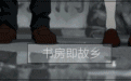 陕西女首富周莹：在悲情的命运里顽强折腾