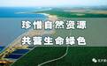 再发力！莱州这个镇向这些现象“亮剑”！