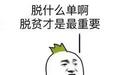 等了这么久，最好笑的喜剧居然是这部freestyle的片子