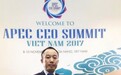 “中国企业要有文化担当”-汉今国际总裁刘绱出席APEC工商领导人峰会