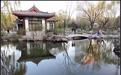 “明湖小楼”杯征文▕ 江家池畔观“神鱼”