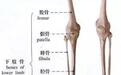 跑步时小腿疼？我们知道怎么治！