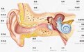 宁波耳鼻喉胡东胜：耳朵流脓、流黄水小心中耳炎伴有耳膜穿孔