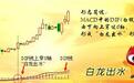 MACD与均线战法的神奇妙用，99%股民竟然不知道
