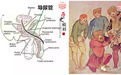 你以为只有中医有偏方？请看看中世纪欧洲那些令人瞠目结舌的“古西医”