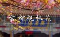 千树桃花玄都观：开过最负盛名的桃花，等来一生落拓的诗豪