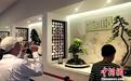 五十余件精品盆景亮相扬州瘦西湖 民众近距离欣赏“立体的画”