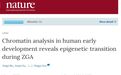 Nature：中国科学家首次揭示人类胚胎发育染色质开放变化规律，阐明重编程模式