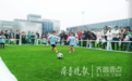 拜仁足校幼儿足球赛西海岸开赛，120名足球小将亮相