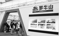 罗牛山建赛马小镇遭问询