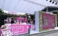 这场草晶华的“闺蜜风暴”，让人嗅到医药新零售的正确玩法
