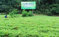 品牌与渠道双管齐下 世界绞谷加快重庆市场布局