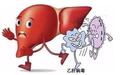 新一代乙型肝炎疫苗的诞生