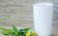 乳腺增生多喝纯牛奶还是酸奶好，专家告诉你：适合的才是最好的