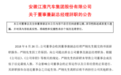 江淮汽车董事兼副总经理严刚辞职，官方称因工作原因