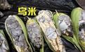 玉米上长出的“乌米”愁坏了农民, 在吃货那里却成了美食