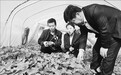 地校携手合作助力乡村振兴