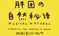 胖团の自然秘语—FLABJACKS北京首展 早鸟票热卖中！