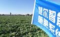 昌吉州水肥一体化智能施肥助力种植户提质增效