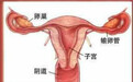 古人对月经有什么看法，她们如何处理“大姨妈”的烦恼呢？