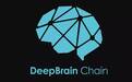 必链评测 丨 深脑链：要做AI领域的滴滴！