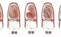 指纹几个斗，代表什么命？不信你看！