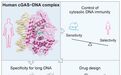 Cell：首次破解人cGAS的三维结构