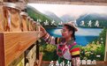 跨越万水千山，甘肃文县特产“安家”即墨古城