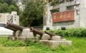 【广东海洋大学】传承红色文化·湛江博物馆之行