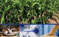 厨房隐藏史上最强致癌物，其毒性超砒霜68倍，致癌力是腌制食品700倍，一次致死125人！