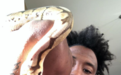 你醒啦？科温顿携宠物蛇向你道早安