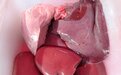 猪肺、猪肝、猪大肠能吃吗？可以，但有一个前提