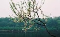 吴越钱氏家族：一代钱王 千古家训