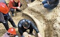 河南永城发掘出完整象牙化石 推算距今已超10万年