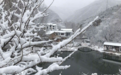 北京郊区四月飞雪 香山桃花戴上雪“帽子”