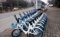 广州公布2019年互联网租赁自行车运营商中标结果 摩拜、哈罗和青桔中标