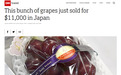 11000美元！日本一串葡萄卖这么贵....