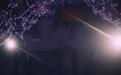 辣妈陈彦妃晒婚礼照片 现场布置豪华宛若星空