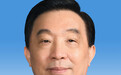王晨简历