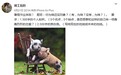 湖北一高校辅导员布置暑假作业：反思自己为啥没对象