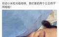 47岁伊能静美国二胎产女！快50了还睡公主床…